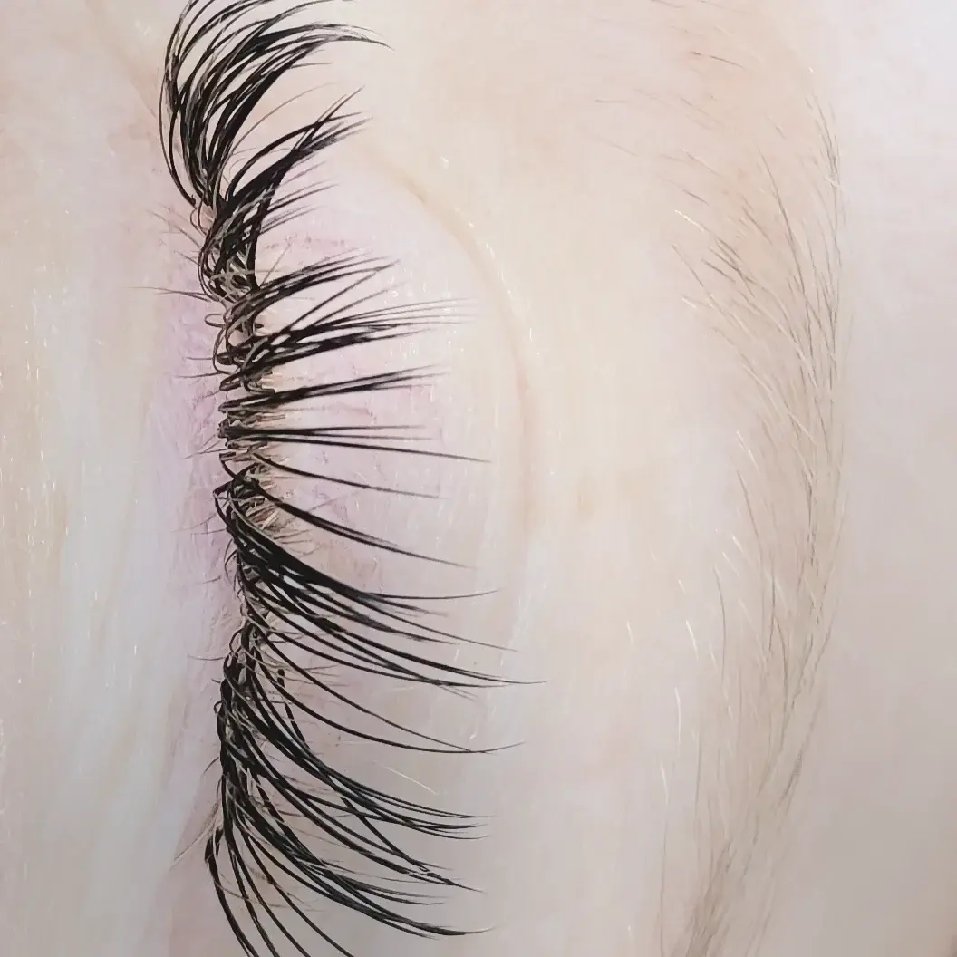 Close-up of a natural-looking lash line