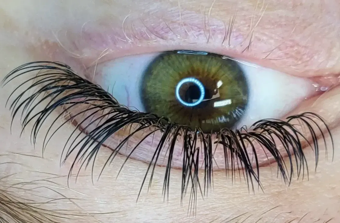 Wet-look lash detail from Patrycja’s portfolio
